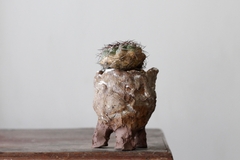 POT: CAT178 - online store