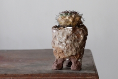 POT: CAT178 - buy online
