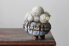 POT: CAT177 - online store