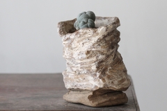 POT: CAT173 - buy online