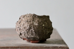 POT: CAT239 on internet