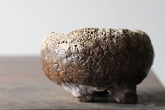 Image of POT: CAT243