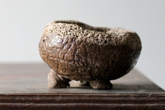 POT: CAT243 - buy online