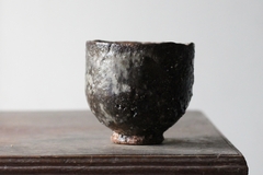CUP: CAT189 - comprar online