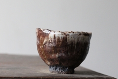 CUP: CAT194