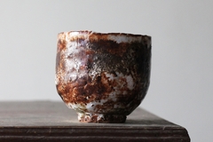 CUP: CAT202 na internet
