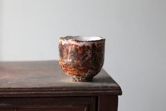 CUP: CAT202 - comprar online
