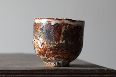 CUP: CAT202