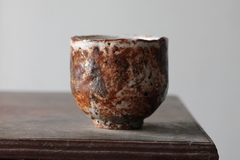 CUP: CAT202 - comprar online