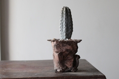 POT: CAT244 - online store