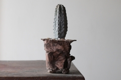POT: CAT244 - online store
