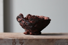 Image of POT: CAT245