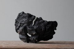 POT: CAT246 - online store