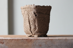 Image of POT: CAT306