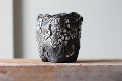 POT: CAT307 - online store