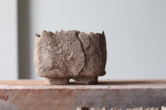 POT: CAT308