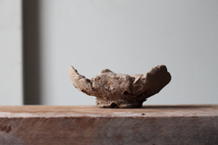 Image of POT: CAT313