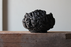 Image of POT: CAT247