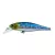 isca MATRIX 65 ALBATROZ cor 2016036