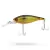 isca cordova maruri gold 3d