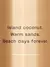 Body Splash Coconut Passion - GabyDarias