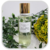 Body Splash Cucumber & Green Tea - GabyDarias