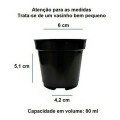 Porta suculenta dia das mães - comprar online