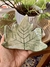 PLATO HOJA PALMA