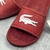 Chinelo Lacoste - comprar online