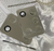 Placa de Inox com espatula