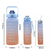Imagem do 3 Garrafas Degradê 2l, 900ml e 300ml Com Adesivo 3D