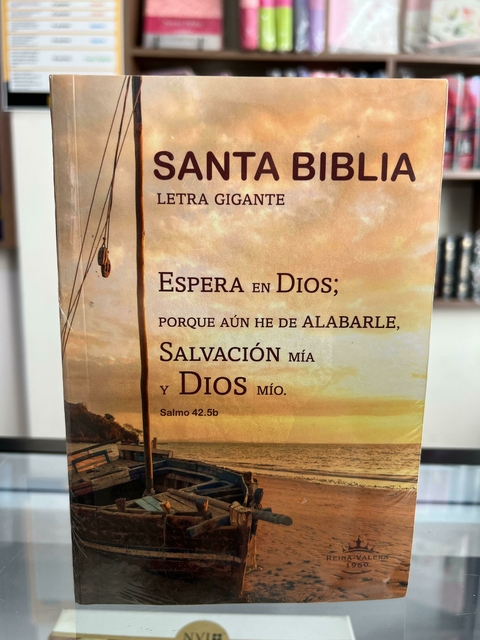 Santa Biblia Reina Valera 1960 Letra Gigante Rústica