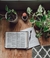Biblias
