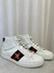 TENIS GUCCI CODA WEB BRACO TAM 42