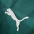 Camisa do PALMEIRAS Masculina 2023/2024 Verde - loja online