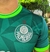 Camisa do PALMEIRAS Masculina 2023/2024 Verde na internet