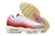Air Max 95 "Anatomy"
