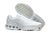 Air Max DN "White Metallic Silver"