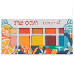 paleta de sombra ludurana 10 cores