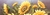Imagem do banner rotativo 4
