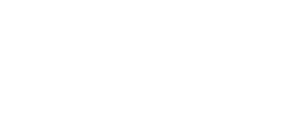 EL EFECTO