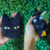 Chaveiro Cat tangerina e CAT CAT