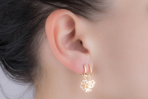 Brinco Argola Pingente Pet