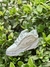 Zapatillas Ogiy - tienda online