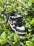 Imagen de Zapatillas Ogiy