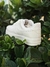 Zapatillas Nike Air Force - Keloke ind