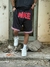 Short Nike - comprar online