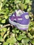 Zapatillas Puma 180 - comprar online