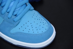 Tênis Nike SB Dunk Low Pro Blue Fury - Loja Princípios