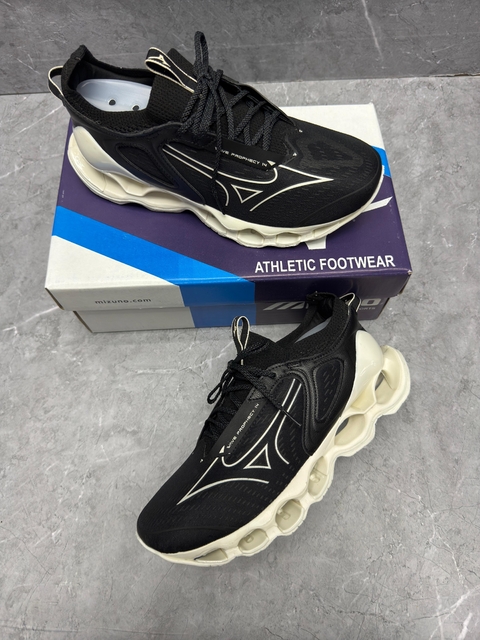 Mizuno prophecy 14